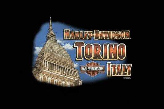 T-Shirt H-D TORINO CAMO