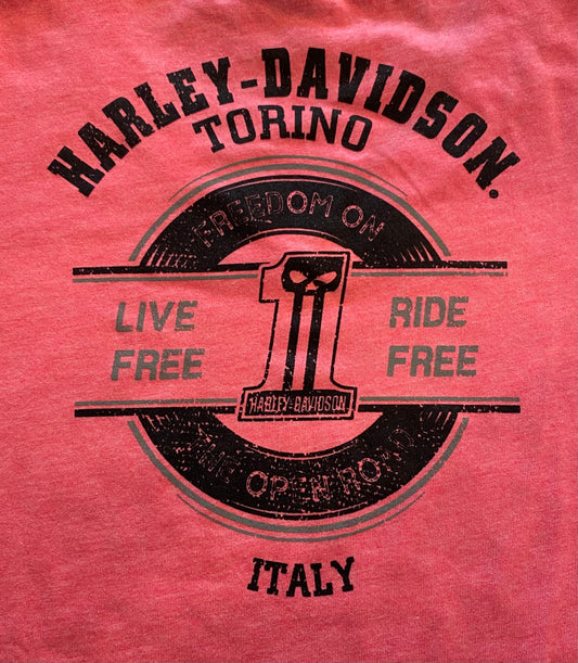 Maglia manica lunga H-D Torino Worn Text da donna