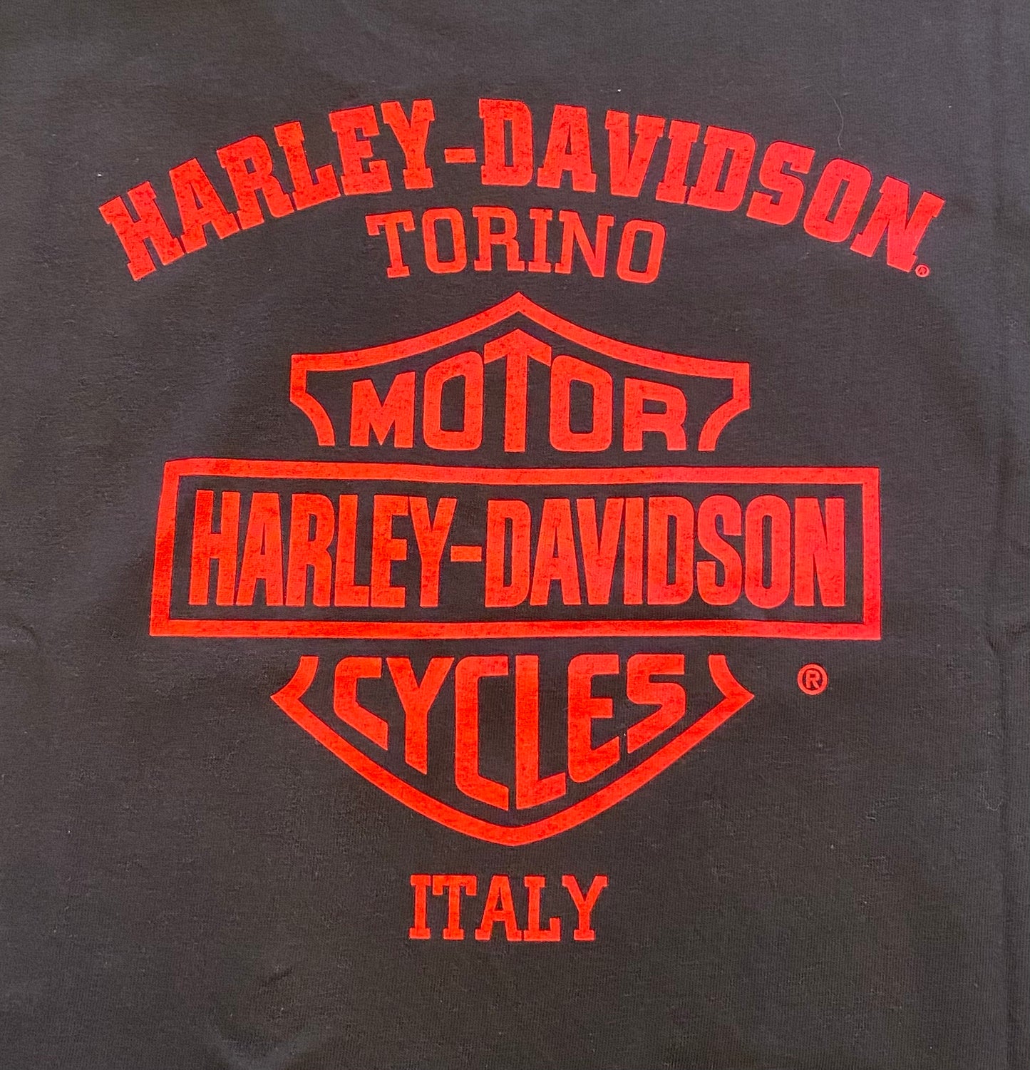 T-Shirt Natalizia H-D Torino Workshop da uomo