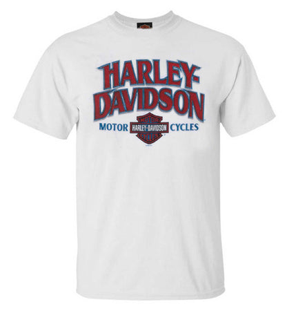 T-Shirt H-D TORINO DAB