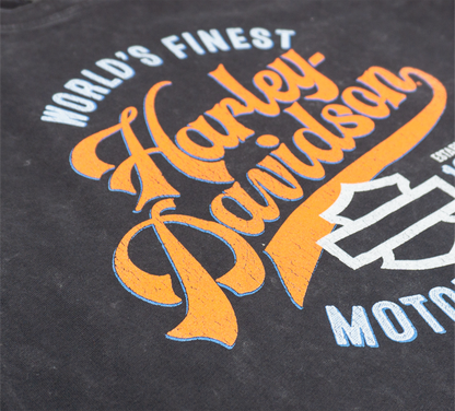 Maglia manica lunga H-D Torino Scribe da donna