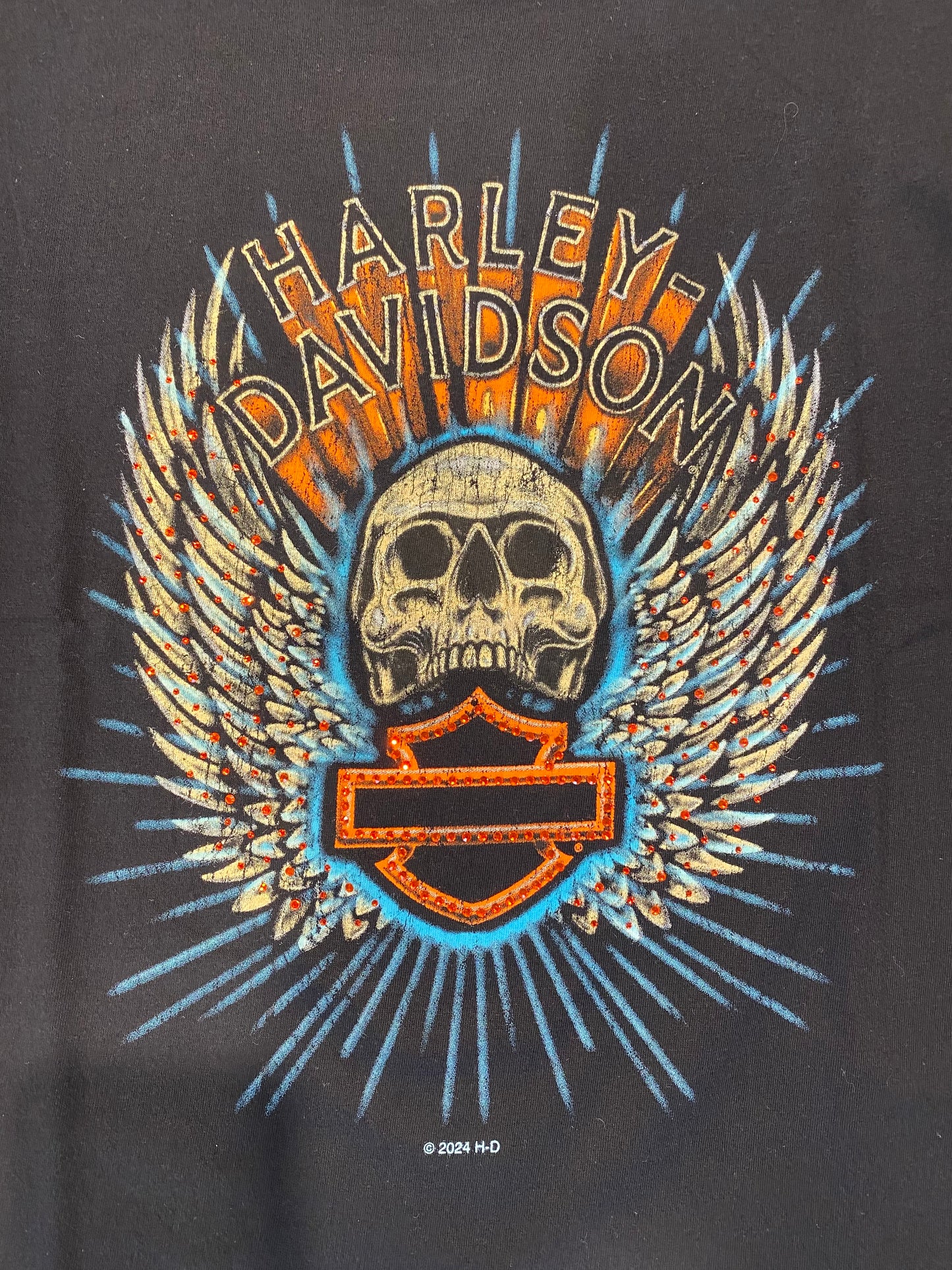 T-Shirt H-D Torino Thrills