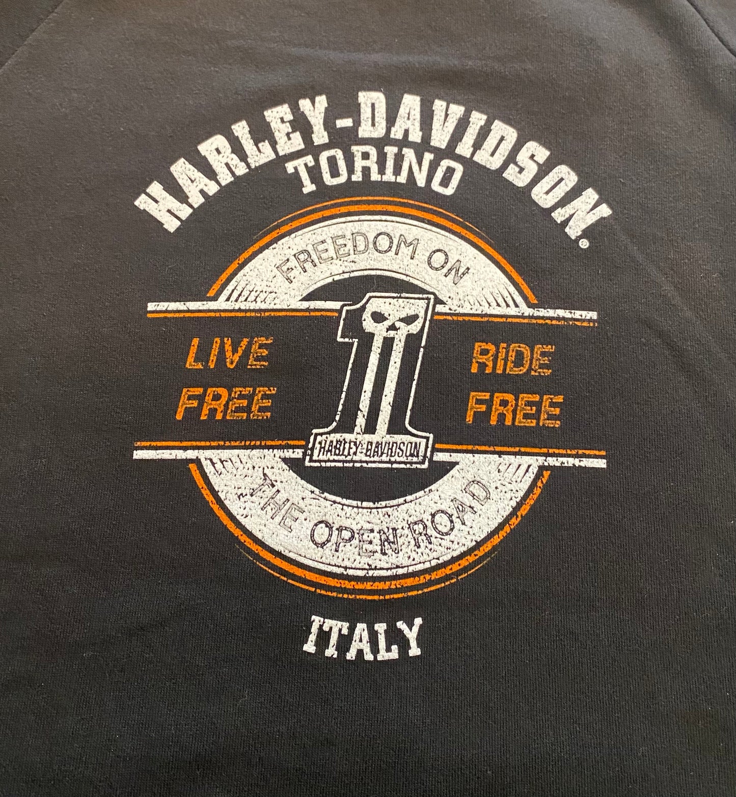 Felpa H-D Torino Whisper Zip