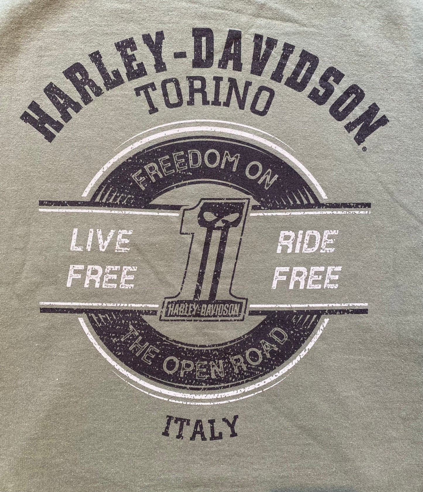 Felpa Harley-Davidson®Torino RiskWillie G Skull