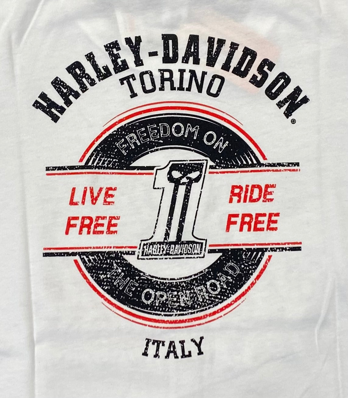 T-Shirt H-D Torino Eagle Tattered