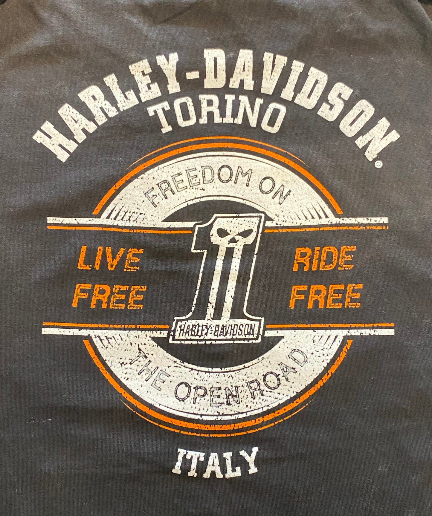 Maglia a manica lunga HD Venom Long Sleeve Tee